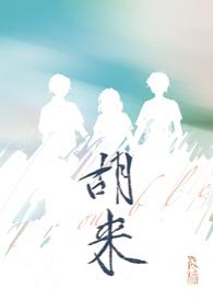 胡来（NP）